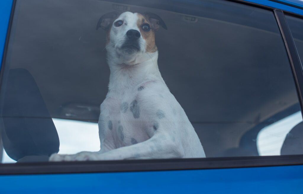 Låste ude af bilen? Usikker på hvad du kan gøre? Her er nogle gode råd fra vores autolåsesmed